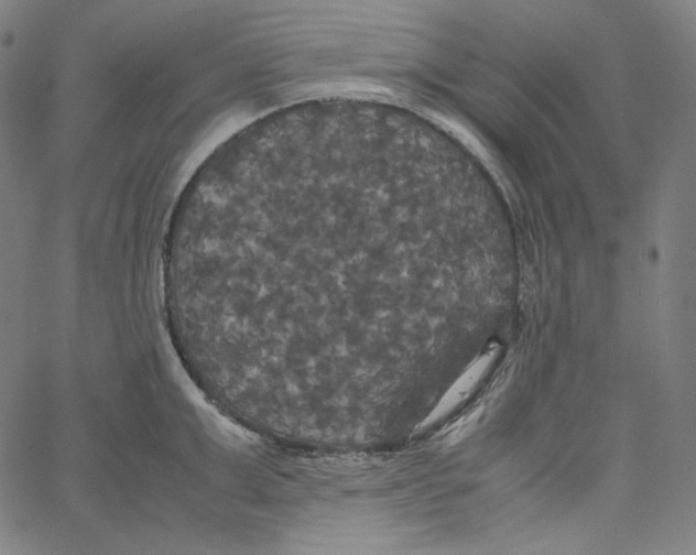 X0000062620999200601181650