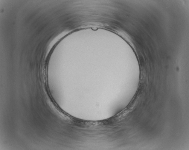 X0000062621003200601181650