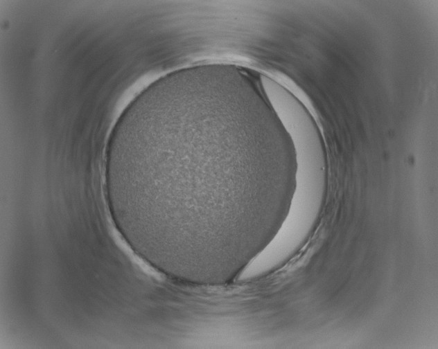 X0000062621005200601181650