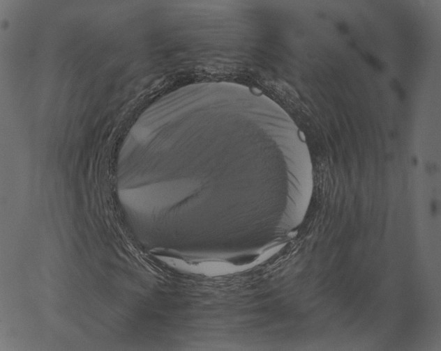 X0000062621009200601181649