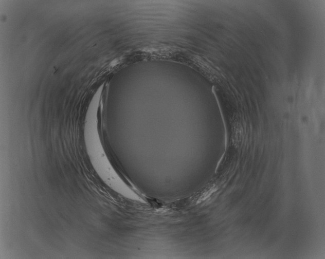 X0000062621010200601181649