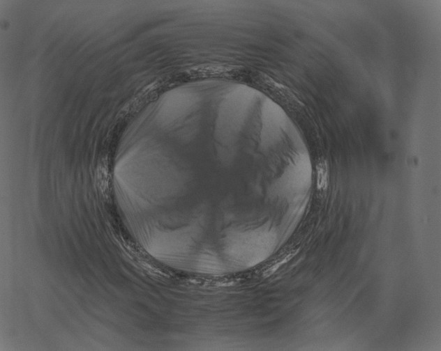 X0000062621011200601181649