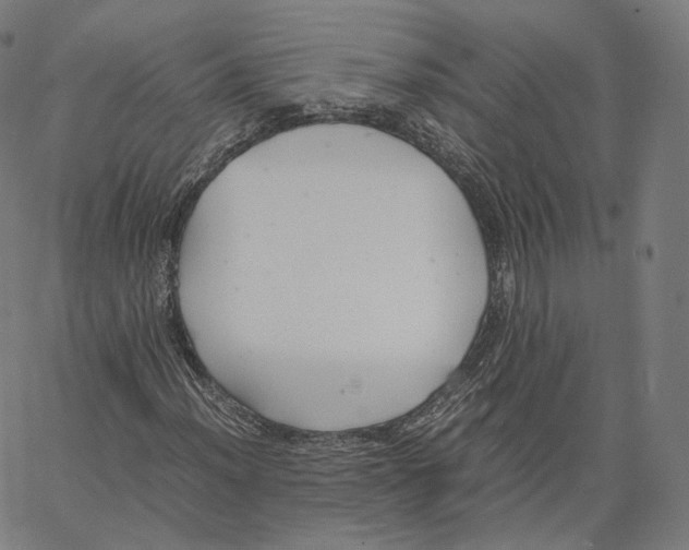 X0000062621012200601181649