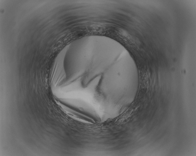 X0000062621013200601181649