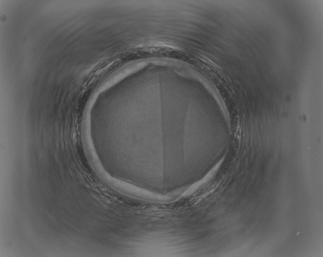 X0000062621014200601181649