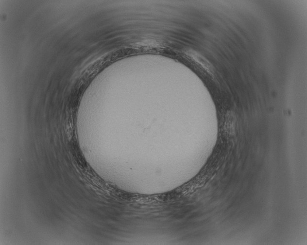 X0000062621015200601181649