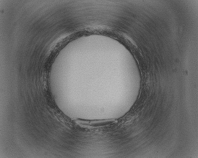 X0000062621016200601181649