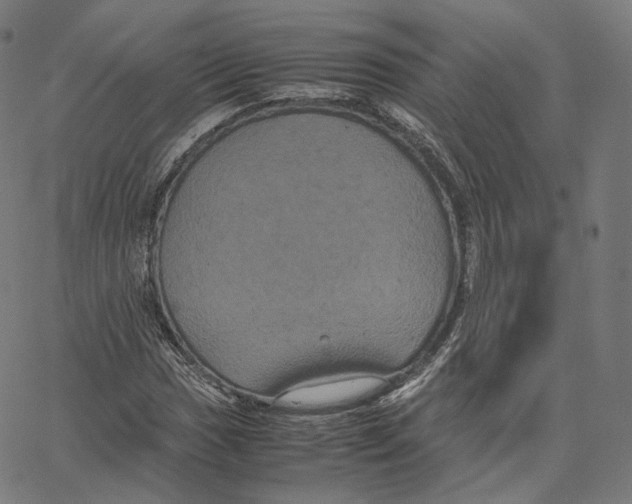 X0000062621017200601181649