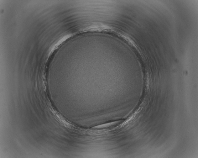 X0000062621018200601181649