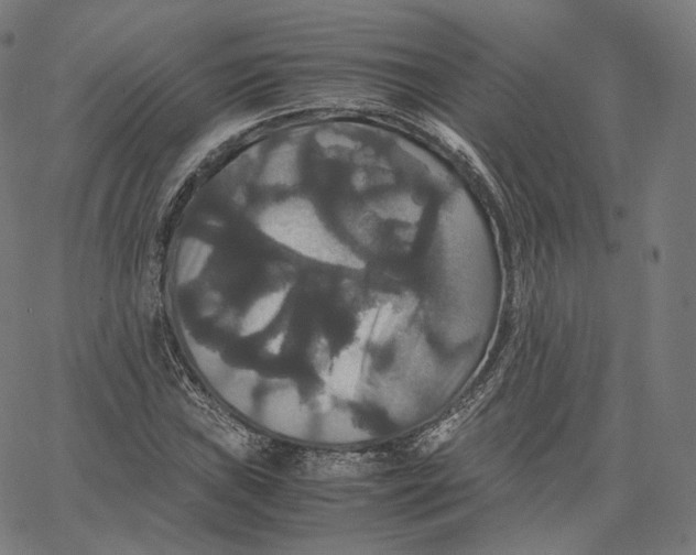 X0000062621019200601181649