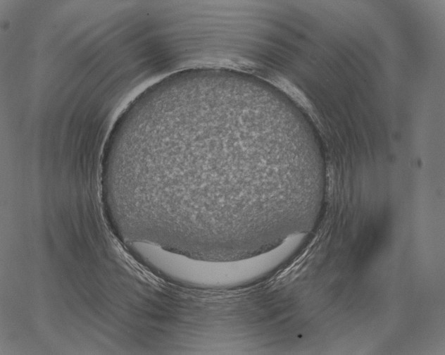 X0000062621020200601181649