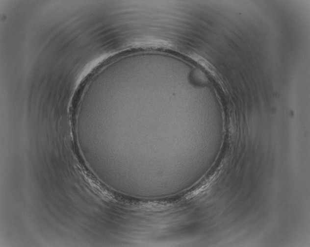 X0000062621022200601181649