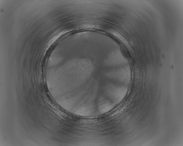 X0000062621023200601181649