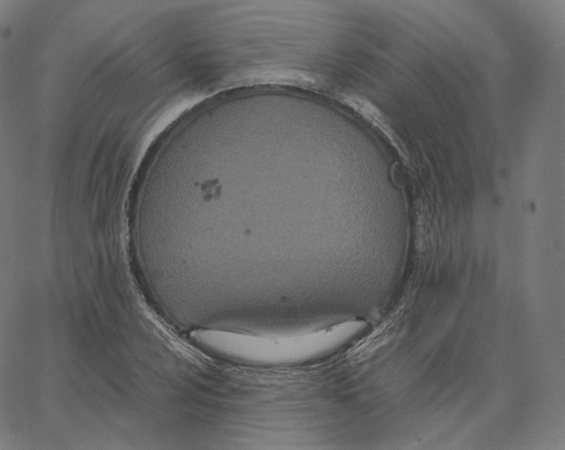 X0000062621024200601181649