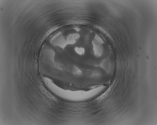 X0000062621025200601181649