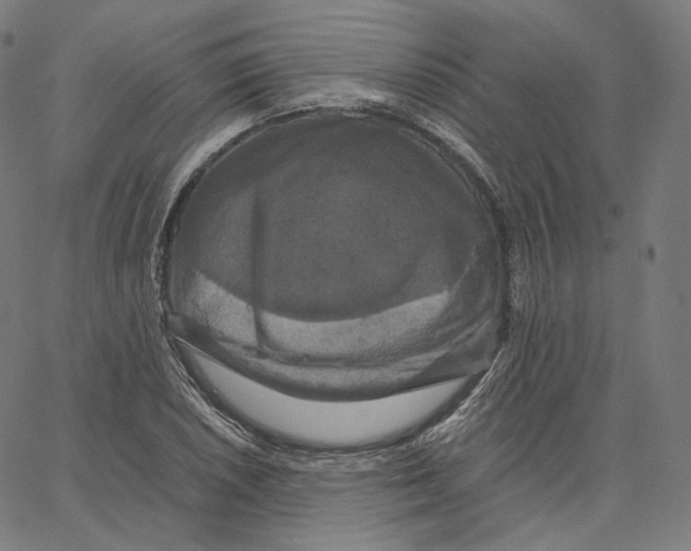 X0000062621026200601181649