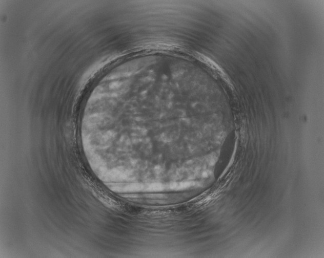 X0000062621027200601181649