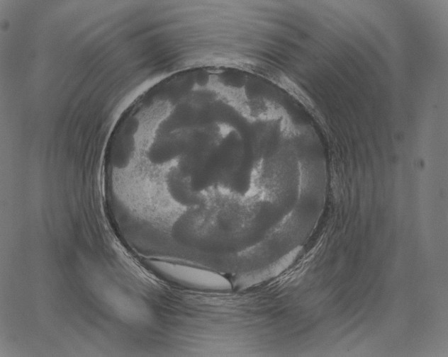 X0000062621028200601181649