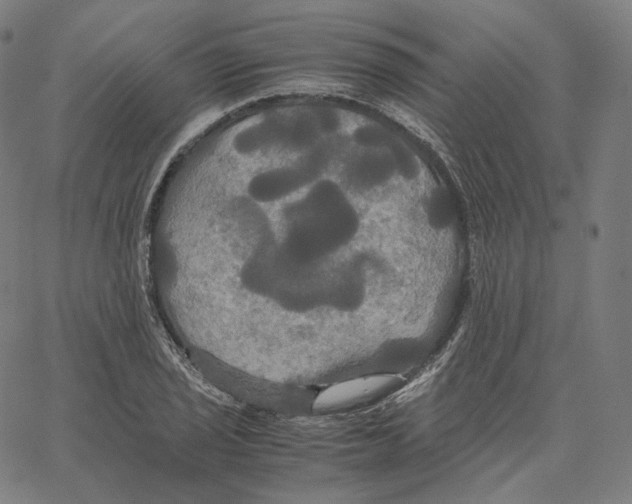 X0000062621029200601181649