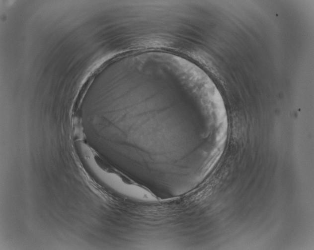 X0000062621031200601181649