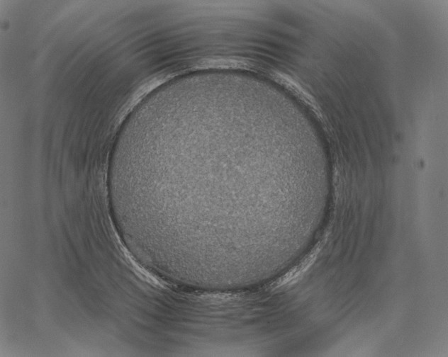 X0000062621033200601181649