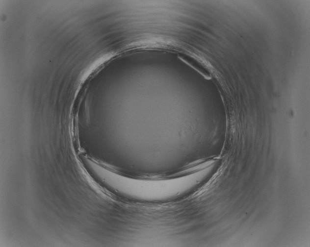 X0000062621034200601181649