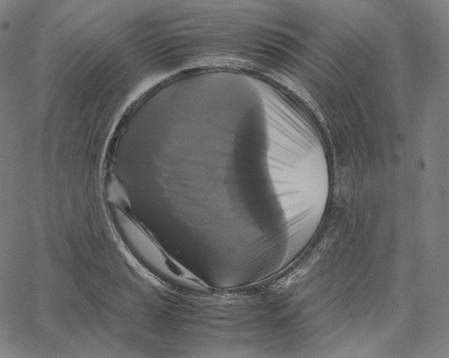 X0000062621037200601181649