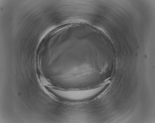 X0000062621038200601181649