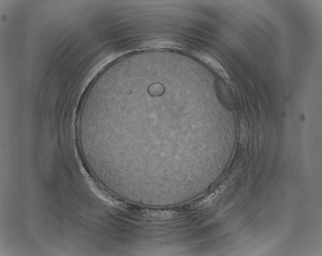 X0000062621039200601181649