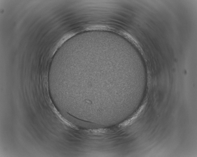 X0000062621041200601181649