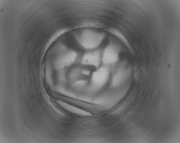 X0000062621043200601181649