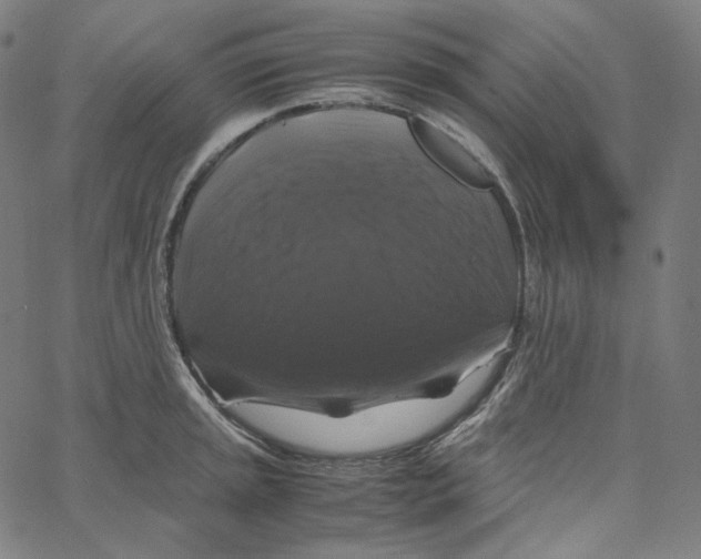 X0000062621045200601181649