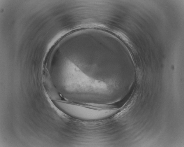 X0000062621046200601181649