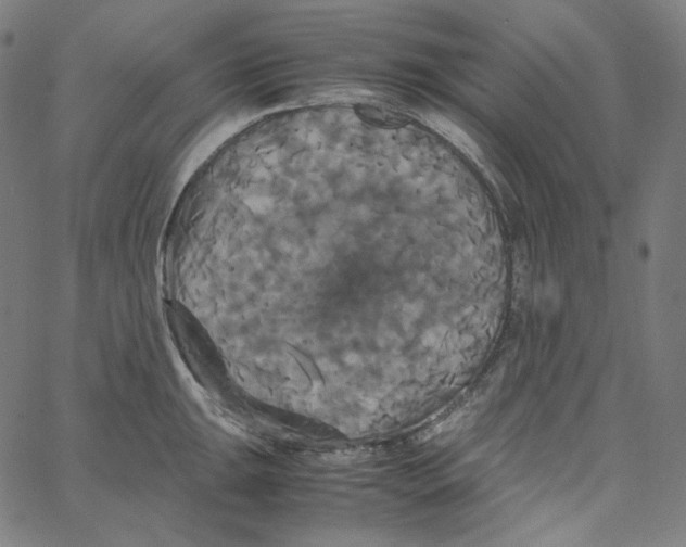 X0000062621047200601181649