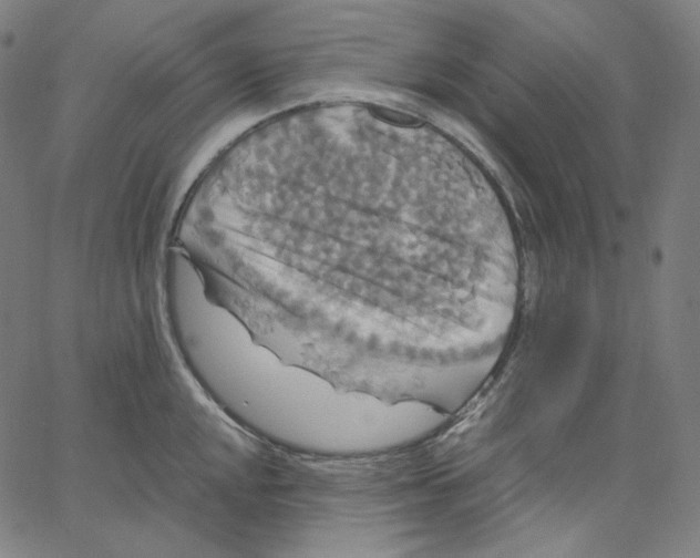 X0000062621048200601181649