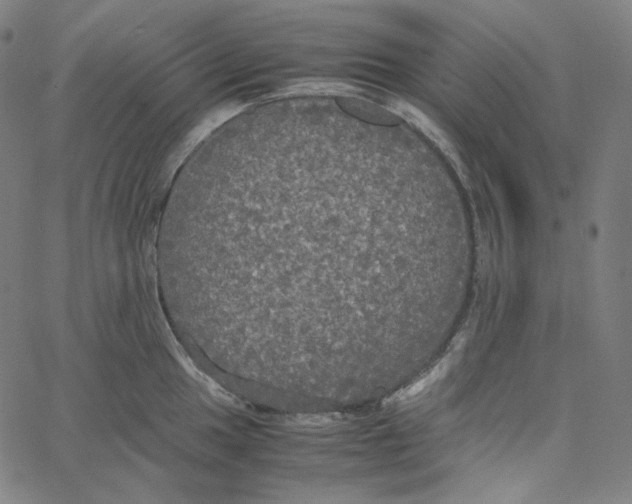 X0000062621049200601181649