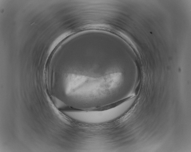 X0000062621050200601181650