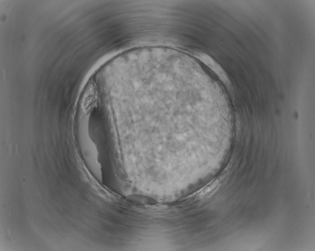 X0000062621052200601181650