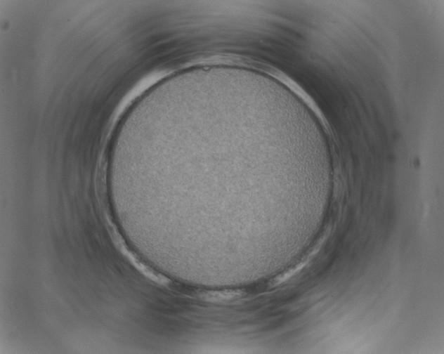 X0000062621053200601181650