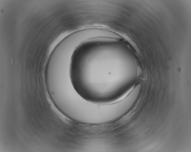 X0000062621054200601181650