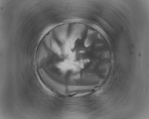 X0000062621055200601181650