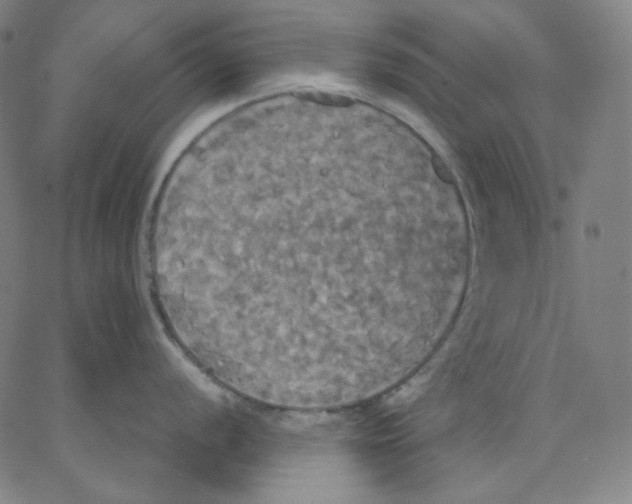 X0000062621056200601181650