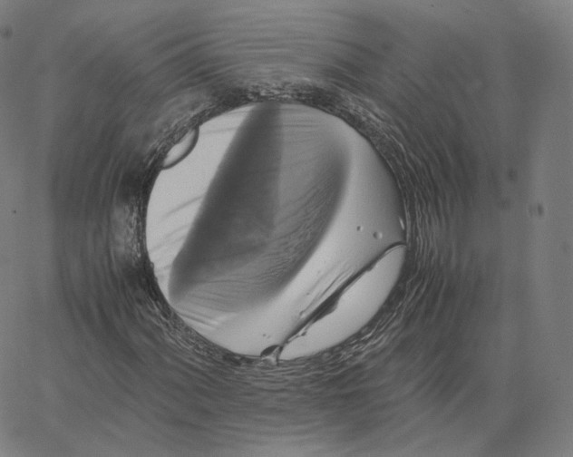 X0000062621060200601181649