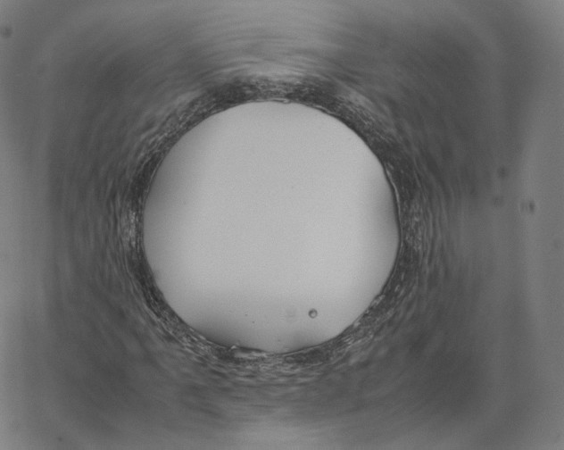 X0000062621061200601181649