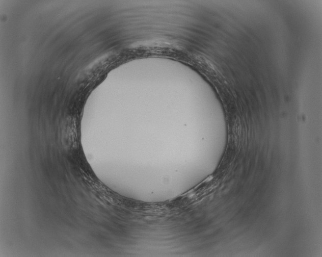 X0000062621062200601181649