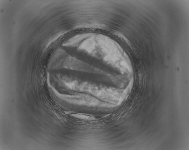 X0000062621064200601181649