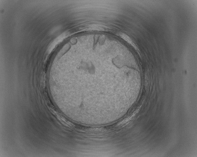 X0000062621067200601181649