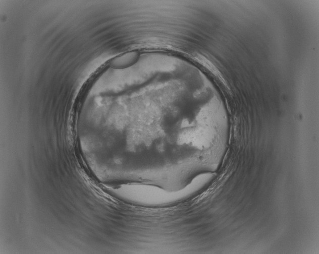 X0000062621068200601181649