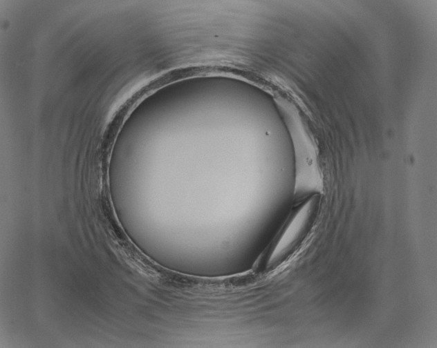 X0000062621069200601181649