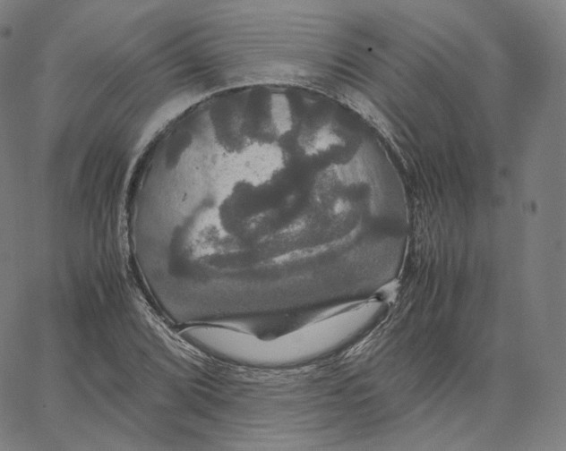 X0000062621072200601181649